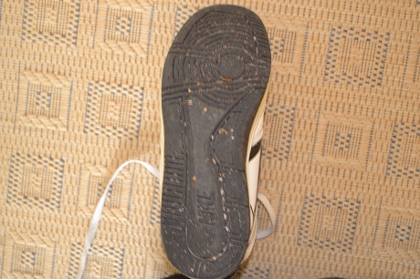 Attached Image
