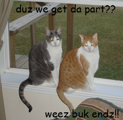 Attached Image