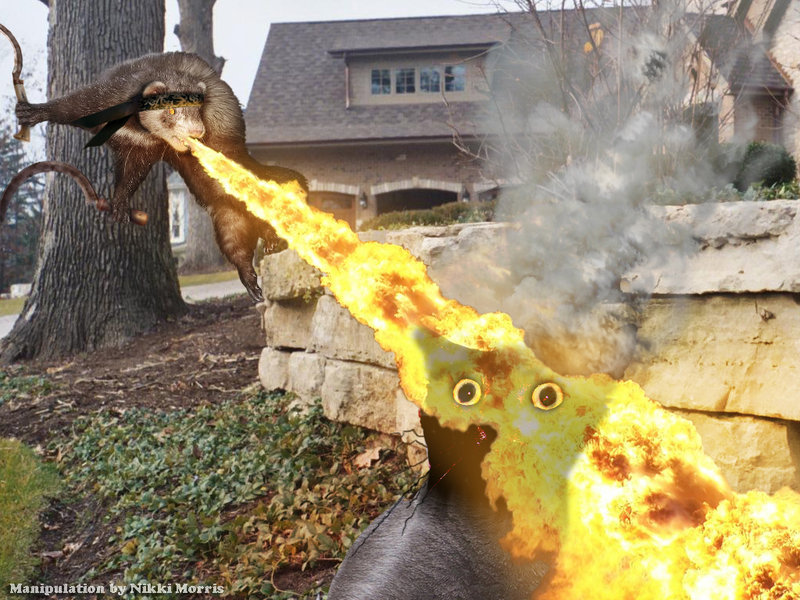 Attached Image