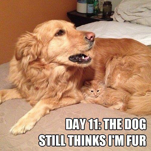 Attached Image