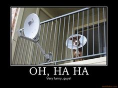 Attached Image