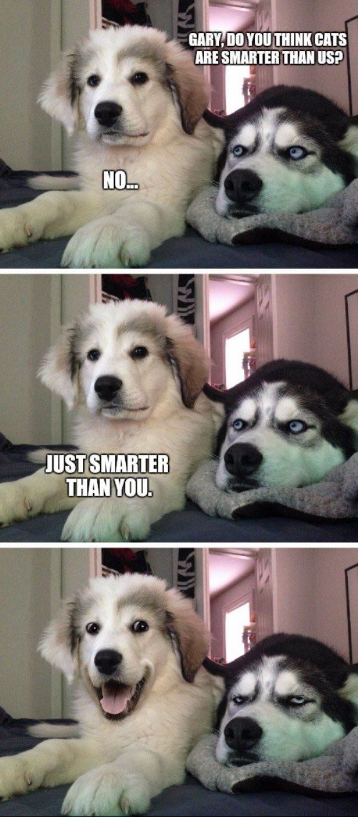 Attached Image