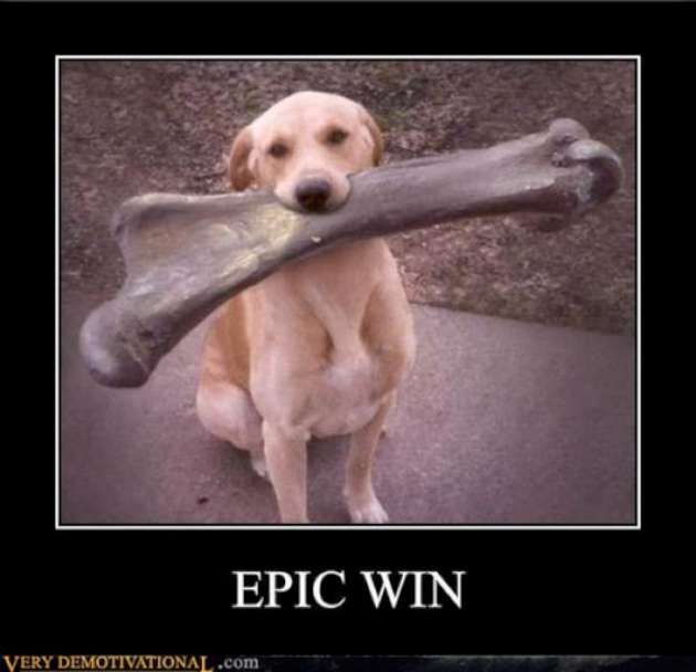 Attached Image