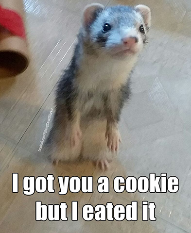 Attached Image