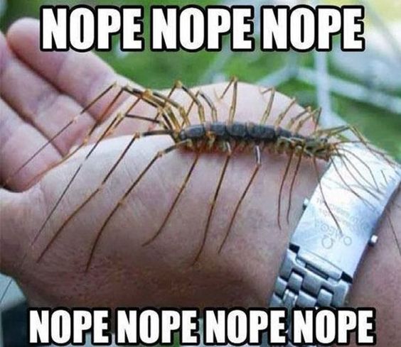 Attached Image