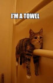Attached Image
