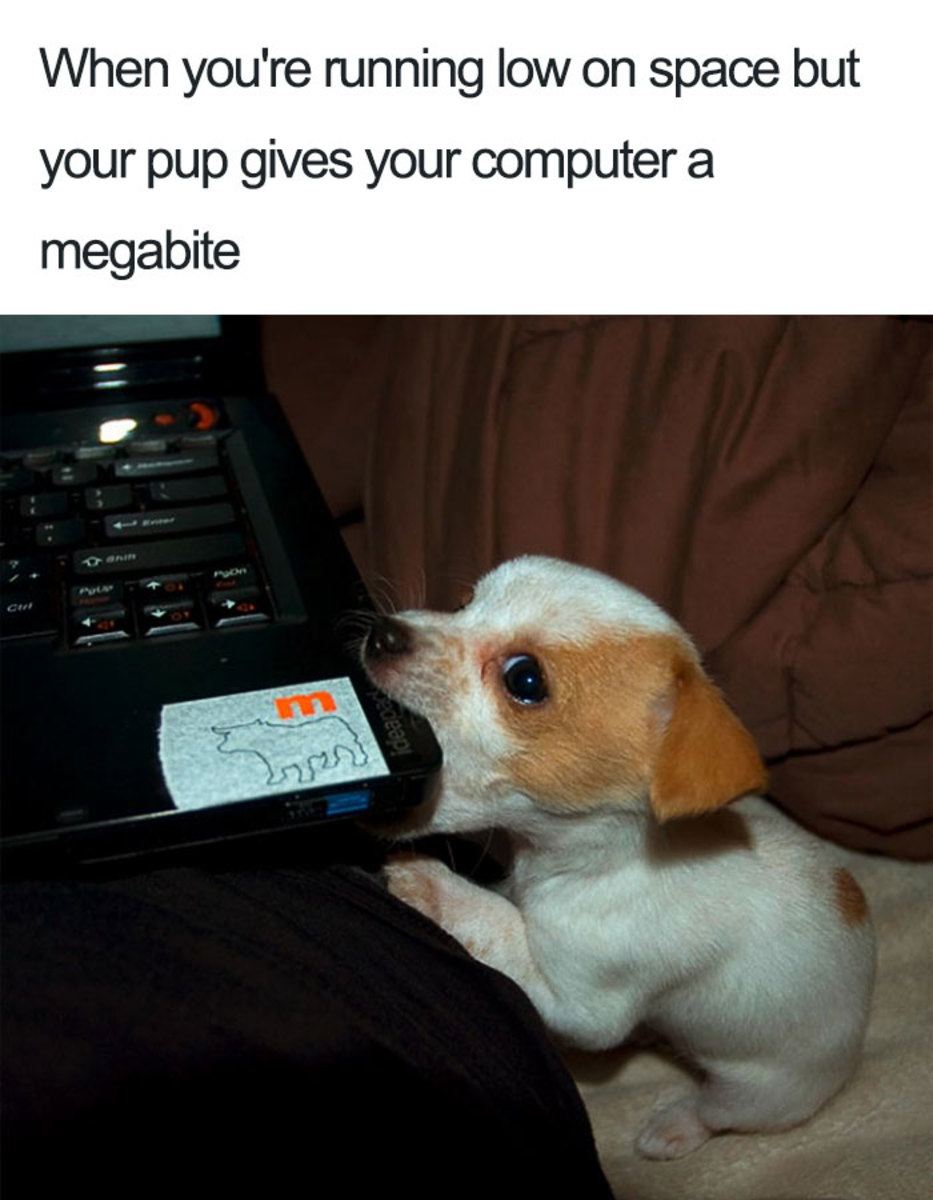 Attached Image