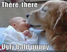 Attached Image