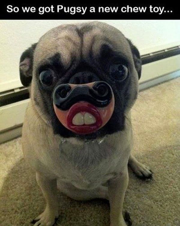 Attached Image