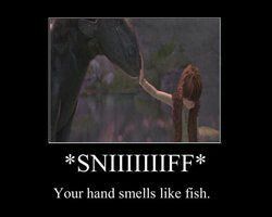 Attached Image