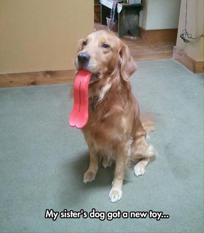Attached Image