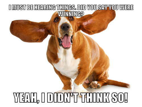 Attached Image