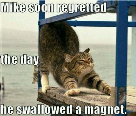 Attached Image