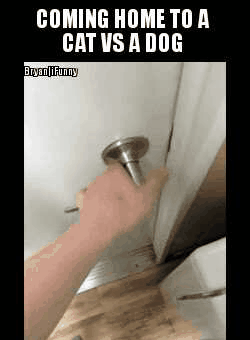 Attached Image