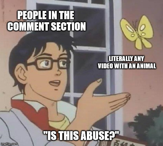 Attached Image