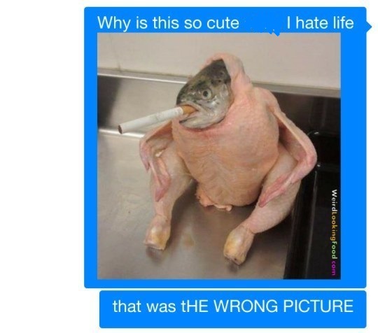 Attached Image